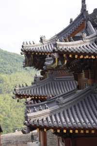 寶藏寧海|隱藏在深山800年的小眾古寺。