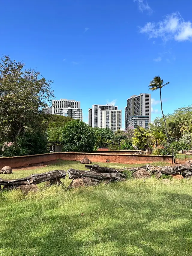 8일 심층 여행 미국의 필수 여행지 공개.