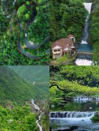 不做冤大頭天目山旅遊避雷||全攻略。