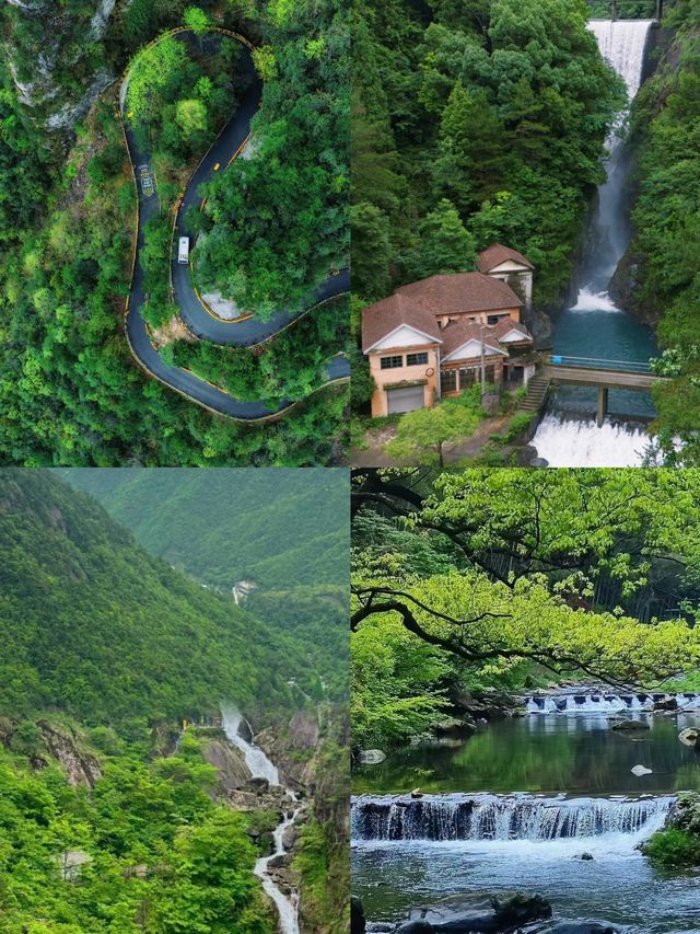 不做冤大頭天目山旅遊避雷||全攻略。