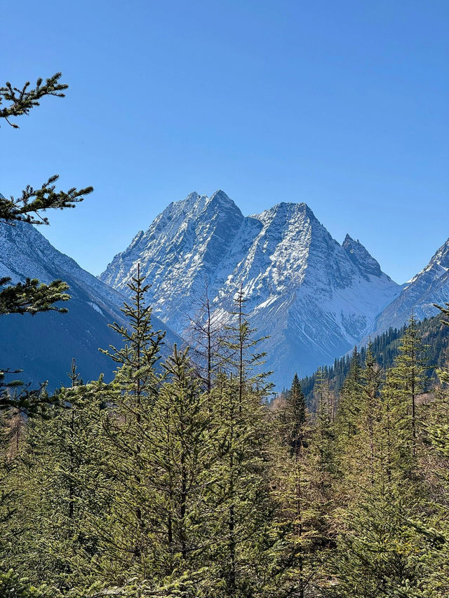 冬天的四姑娘山看到了日照金色雪山。