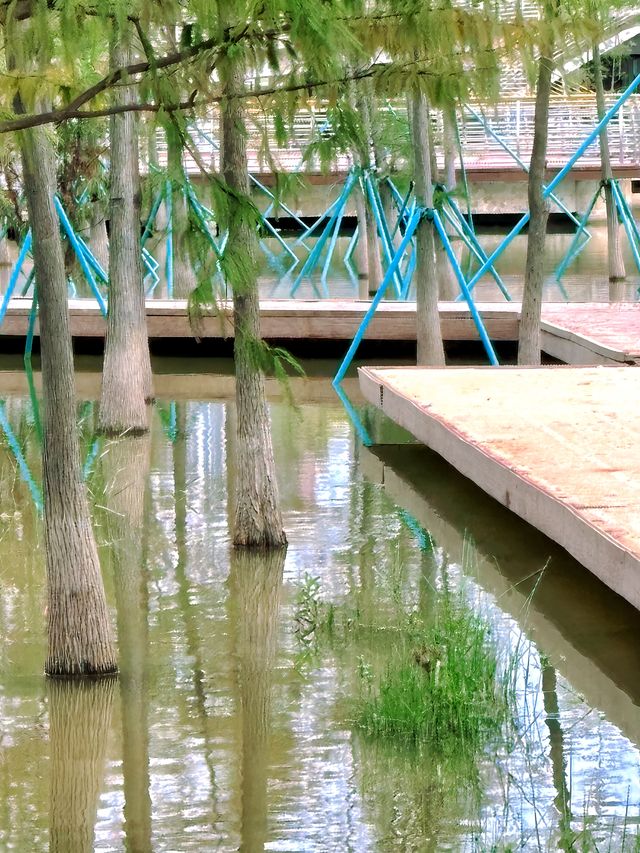 在廣州，離地鐵200米的大草坪沿湖碧道！