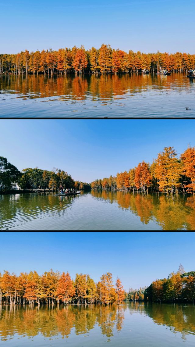 總要下趟江南吧 | 常熟秋日漫行 。