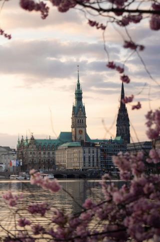 Lille: A Modern Interpretation of French Style