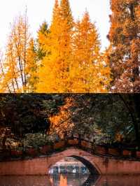 弇山園