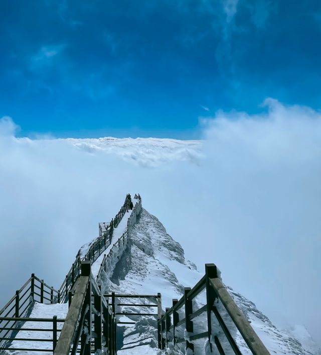 到看雪山的季節啦！！！