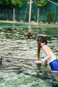 不愧是新加坡可以浮潛餵魟魚的水上樂園