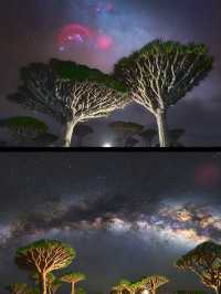 塞爾達現實版，地球上最像外星的島