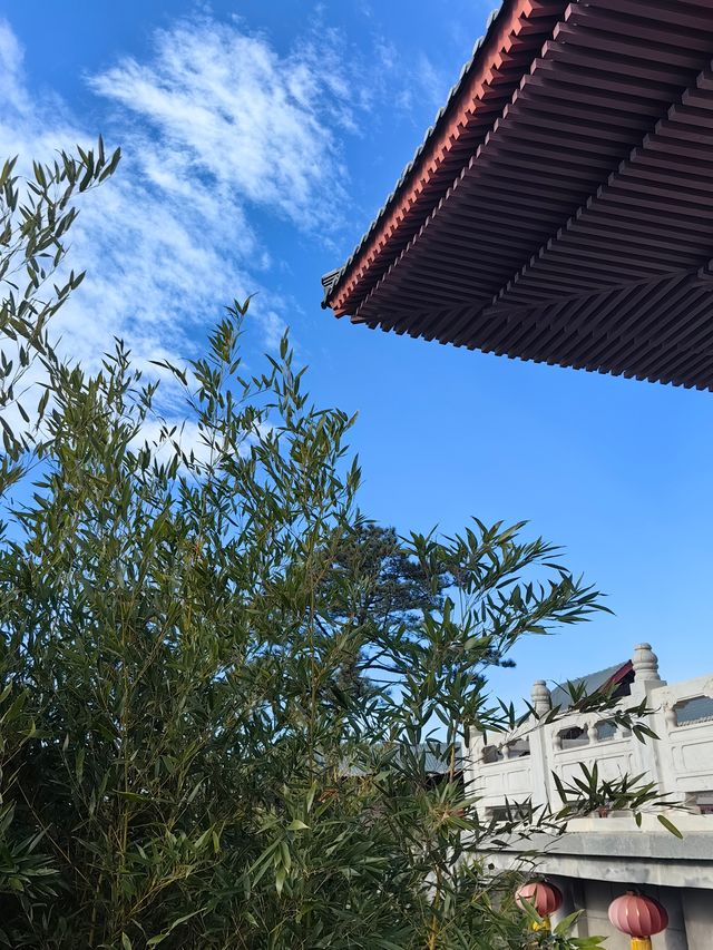 保定免費景點大佛光寺 保姆級攻略 請收藏
