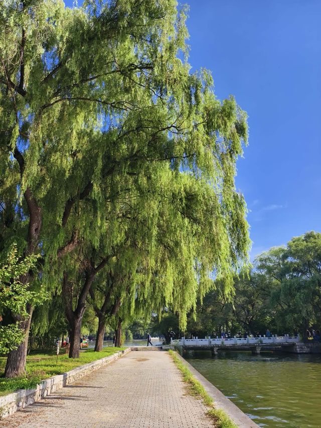 北陵公園