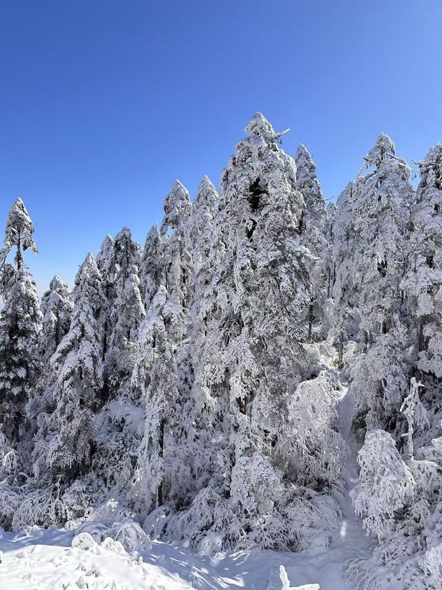 瓦屋山週末遊