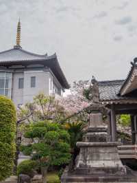 老友同遊日本享受純正溫泉之旅