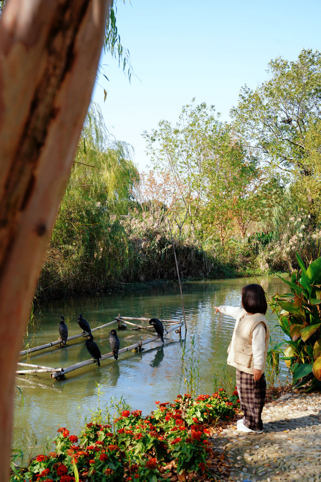 湖州乘船而入的公園 還有稻草人展