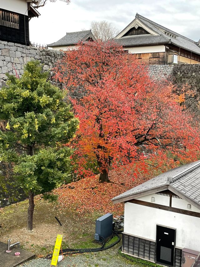 小長假神仙玩法日本7日人生必遊之旅