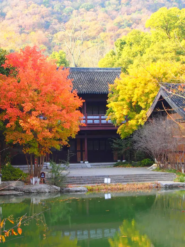 3 Days in Xiangyang: New Year's Travel Guide