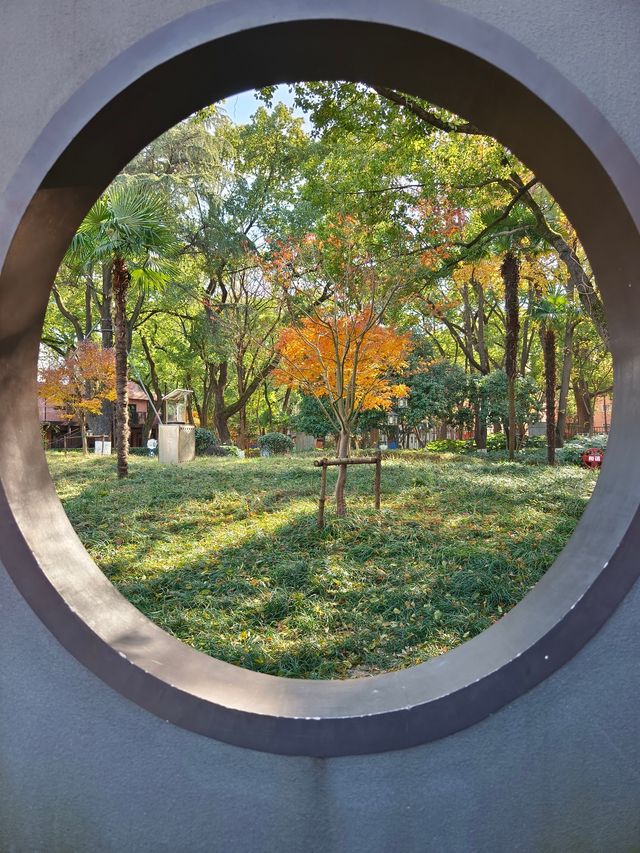 今年來晚了 紅園 可你還是那麼美