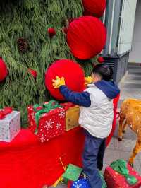 海口遛娃｜這棵歪脖聖誕樹爆紅出圈