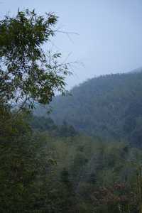 江西吉安遂川白水仙，古風絕美打卡地