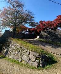 探秘日本盛岡城跡公園｜歷史遺跡與自然美景的交融之旅