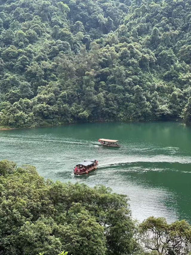 鼎湖山風景名勝區 鼎湖山風景名勝區