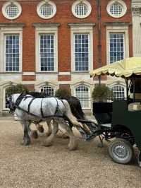 Explore Hampton Court Before Tulip Season Ends