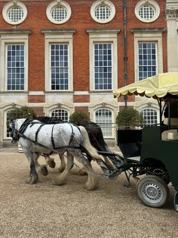 Explore Hampton Court Before Tulip Season Ends