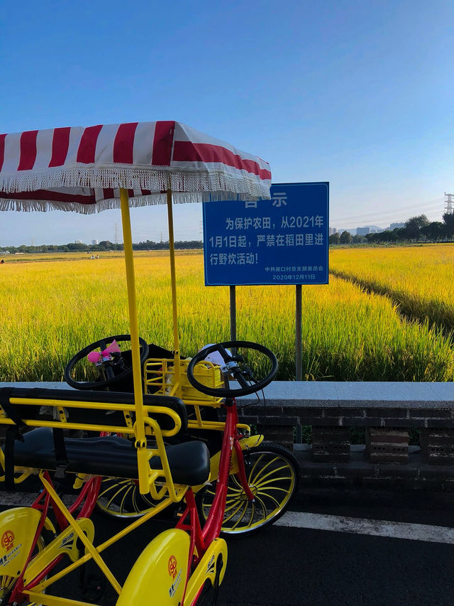 ——崖口村：中山隱世的田園詩篇