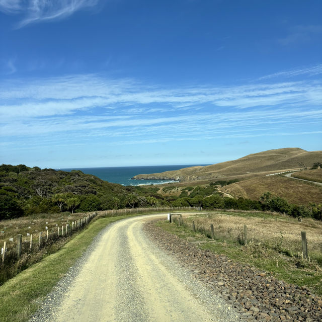 New Zealand South Island 