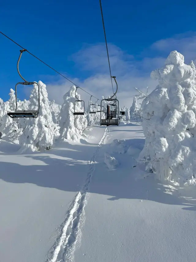 6-Day Japan Tour: Don't Miss the Hot Springs!