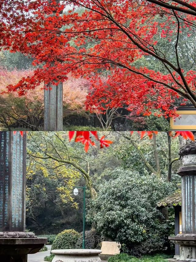 杭州超小眾寺廟，西湖邊的慧因高麗寺