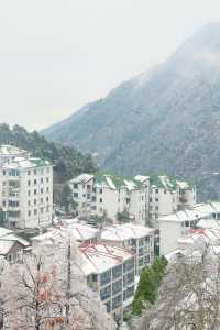給南方人一點大雪震撼，初雪和廬山適配度拉滿