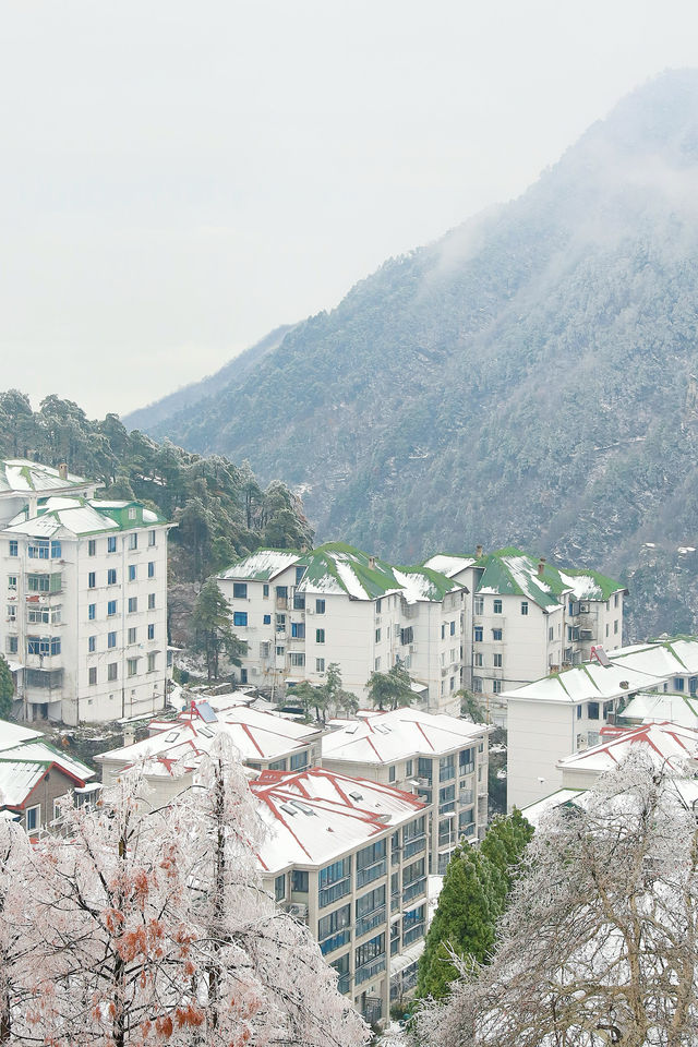 給南方人一點大雪震撼，初雪和廬山適配度拉滿