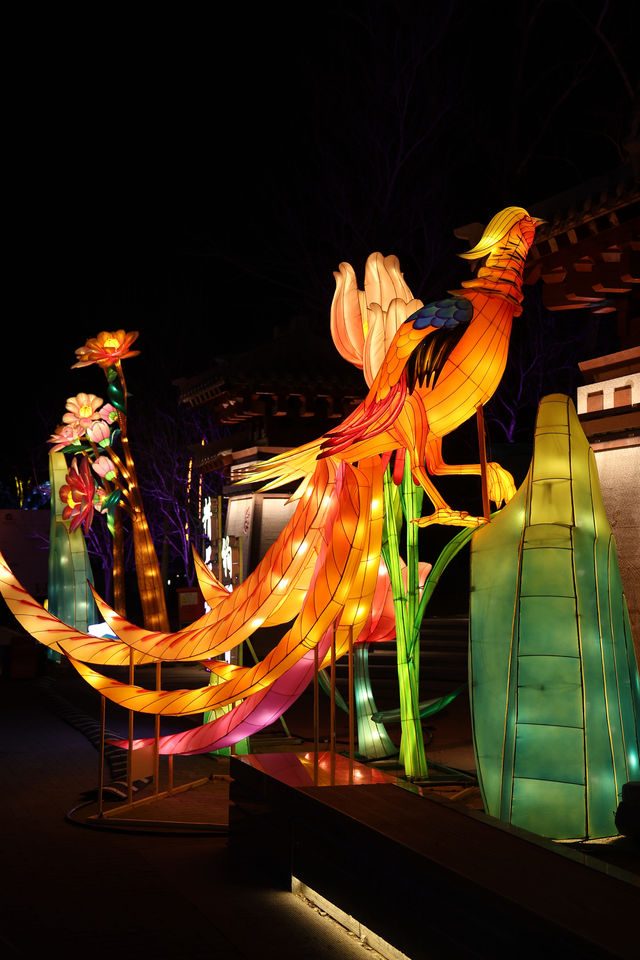 延慶世園公園花燈節｜全攻略