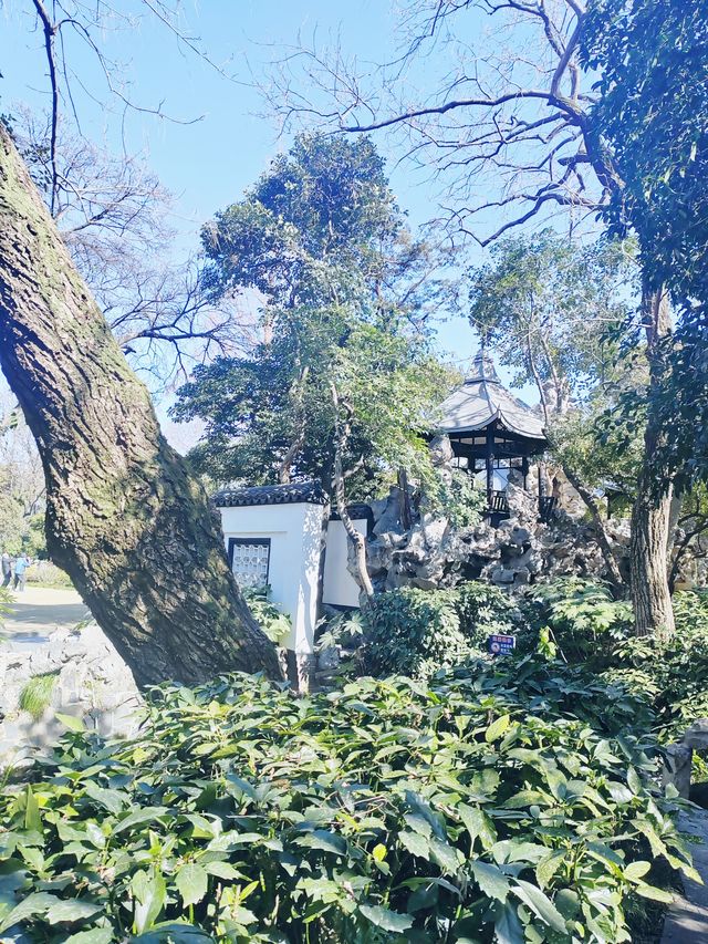 上海這個公園也太好逛了-桂林公園記