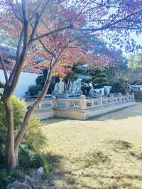 上海這個公園也太好逛了-桂林公園記