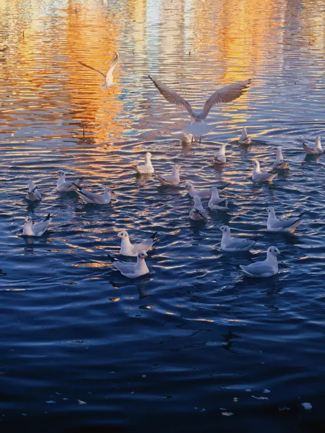 絕佳日落觀賞點：昆明大觀園