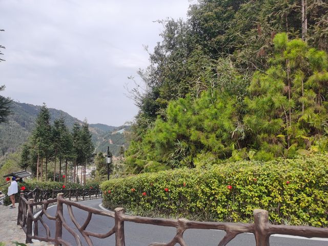 森林裏的溫泉,放鬆身心的療愈之旅——賀州西溪溫泉 森林裏的溫泉,放鬆身心的療愈之旅——賀州西溪溫泉
