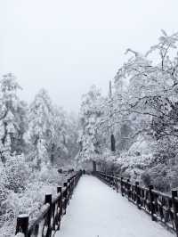瓦屋山不止有雪