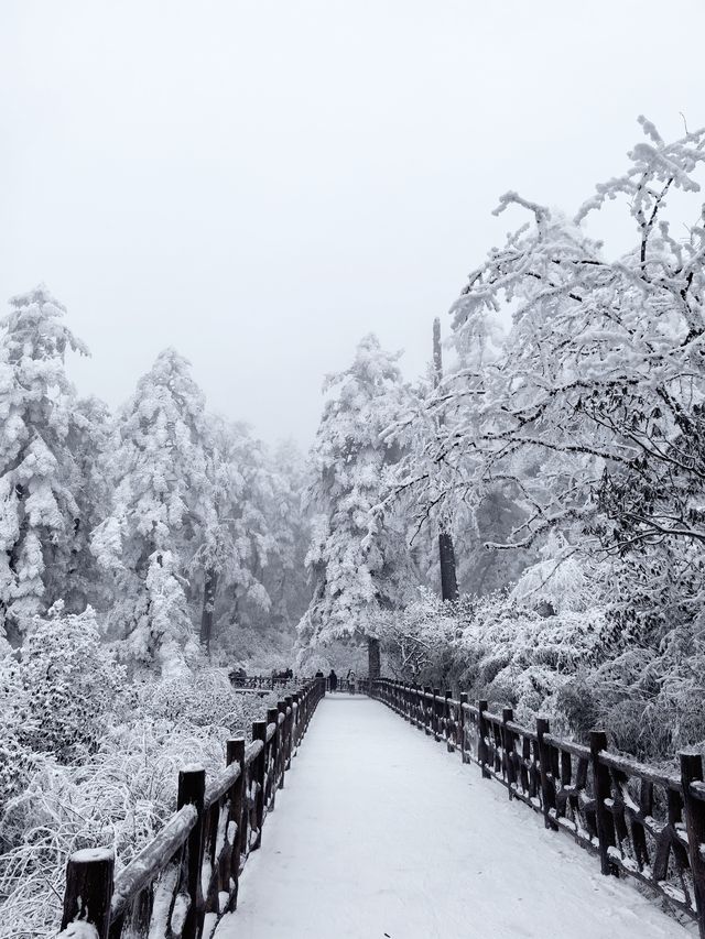 瓦屋山不止有雪