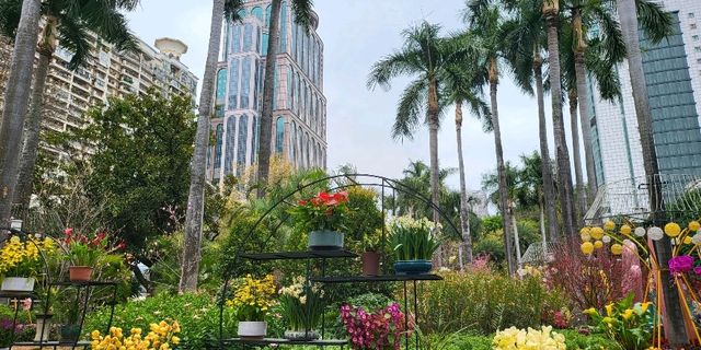 Guangzhou Culture Park 😍❤️