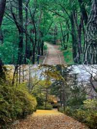 闖入大邱的綠色氧吧 前山公園全攻略
