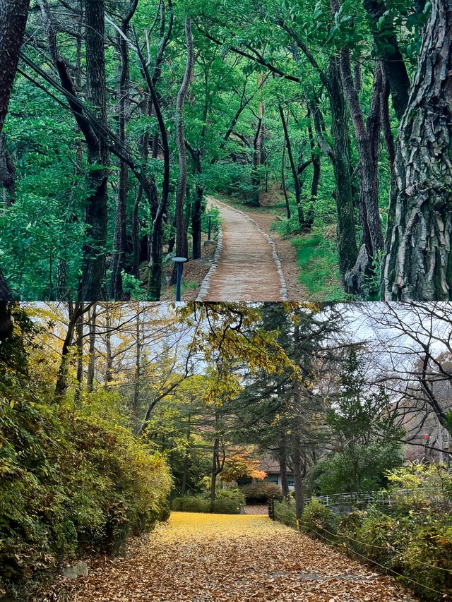 闖入大邱的綠色氧吧 前山公園全攻略