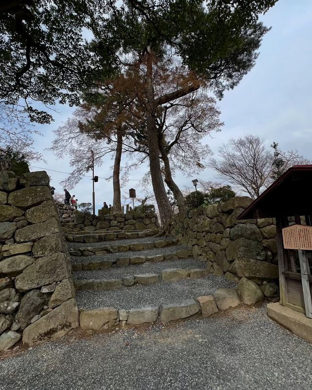 赴一場丸岡城的春日之約