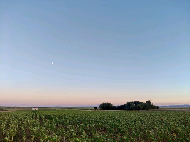 A Magical Sunset in Used, Aragón 🌅🌾