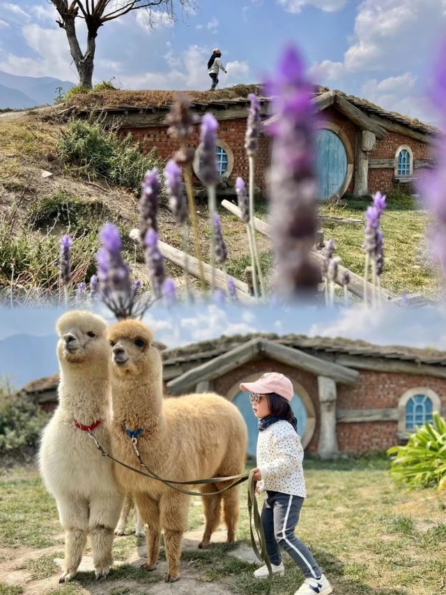如歌的旅程來到大理一個超級美麗且浪漫的地方