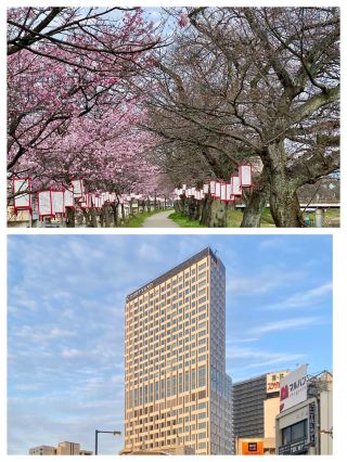 Fukui: Japan's Tranquil and Mysterious Land