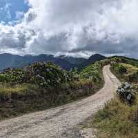 葡萄牙聖米格爾島國王觀景台：俯瞰火山湖的絕美視野