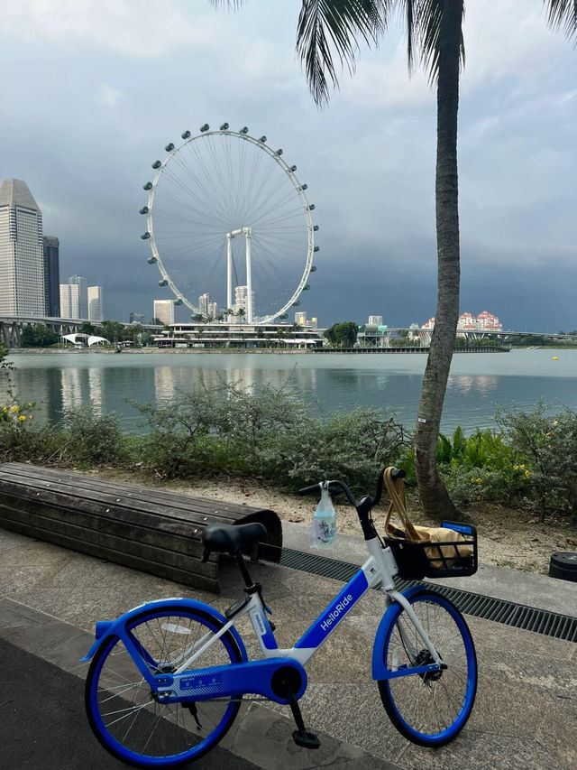 🇸🇬新加坡i人專屬快樂一日遊，爽到飛起！