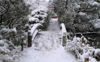 【京都· 龍安寺雪景·2025】