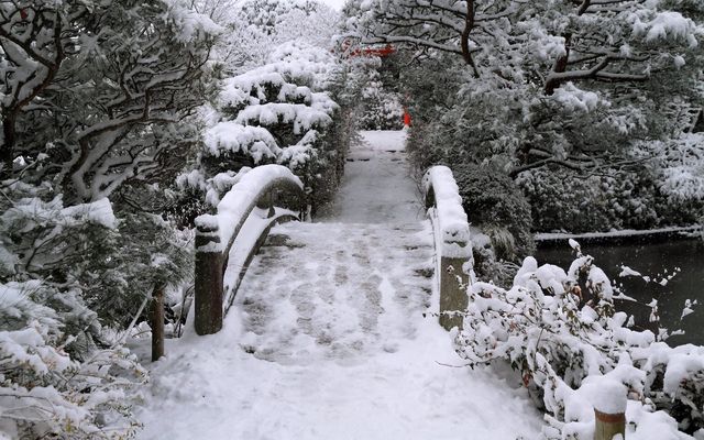 【京都· 龍安寺雪景·2025】